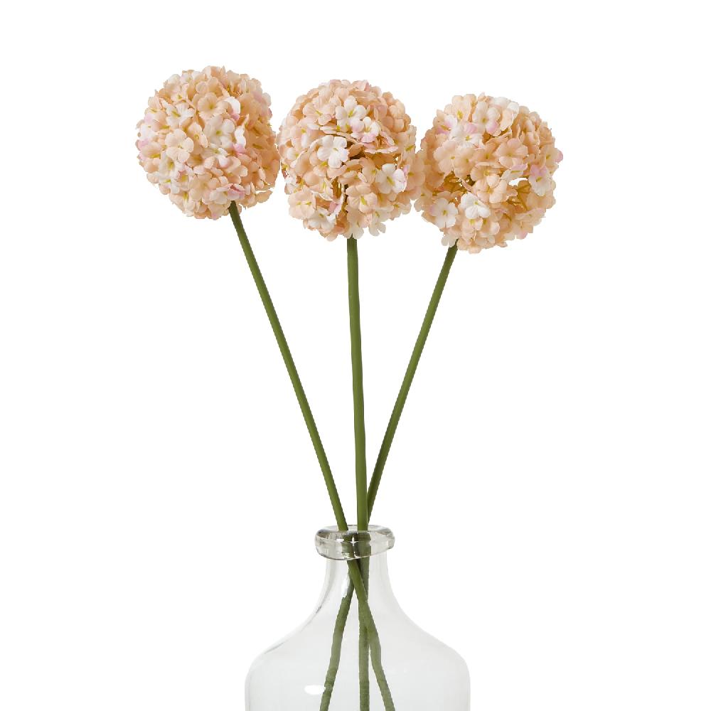 Hill Interiors The Natural Garden Collection White & Apricot Allium
