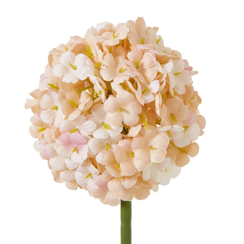 hill interiors The Natural Garden Collection White & Apricot Allium