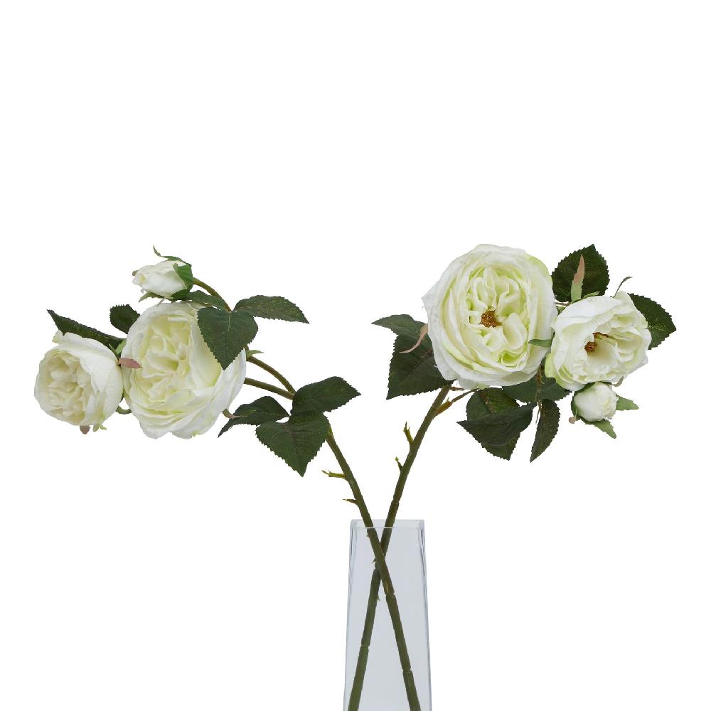 Hill Interiors The Natural Garden Collection White Charity Rose