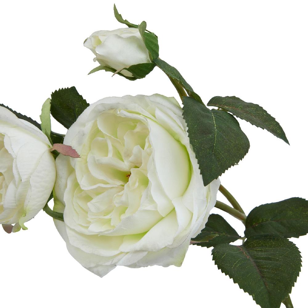 hill interiors The Natural Garden Collection White Charity Rose