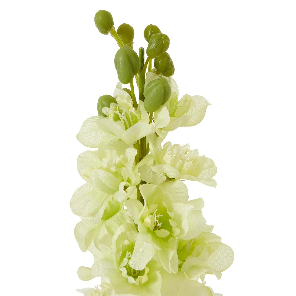 hill interiors The Natural Garden Collection White Elatum Delphinium