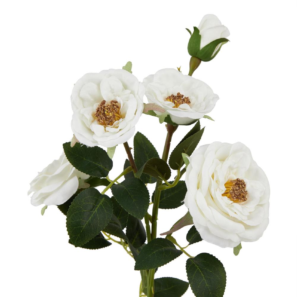 hill interiors The Natural Garden Collection White Hedge Rose Stem