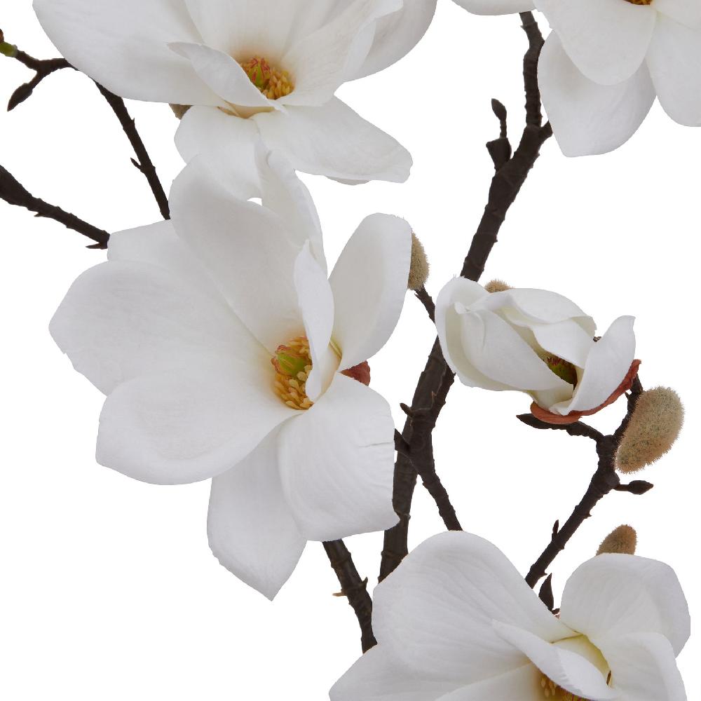 hill interiors The Natural Garden Collection White Magnolia Stem