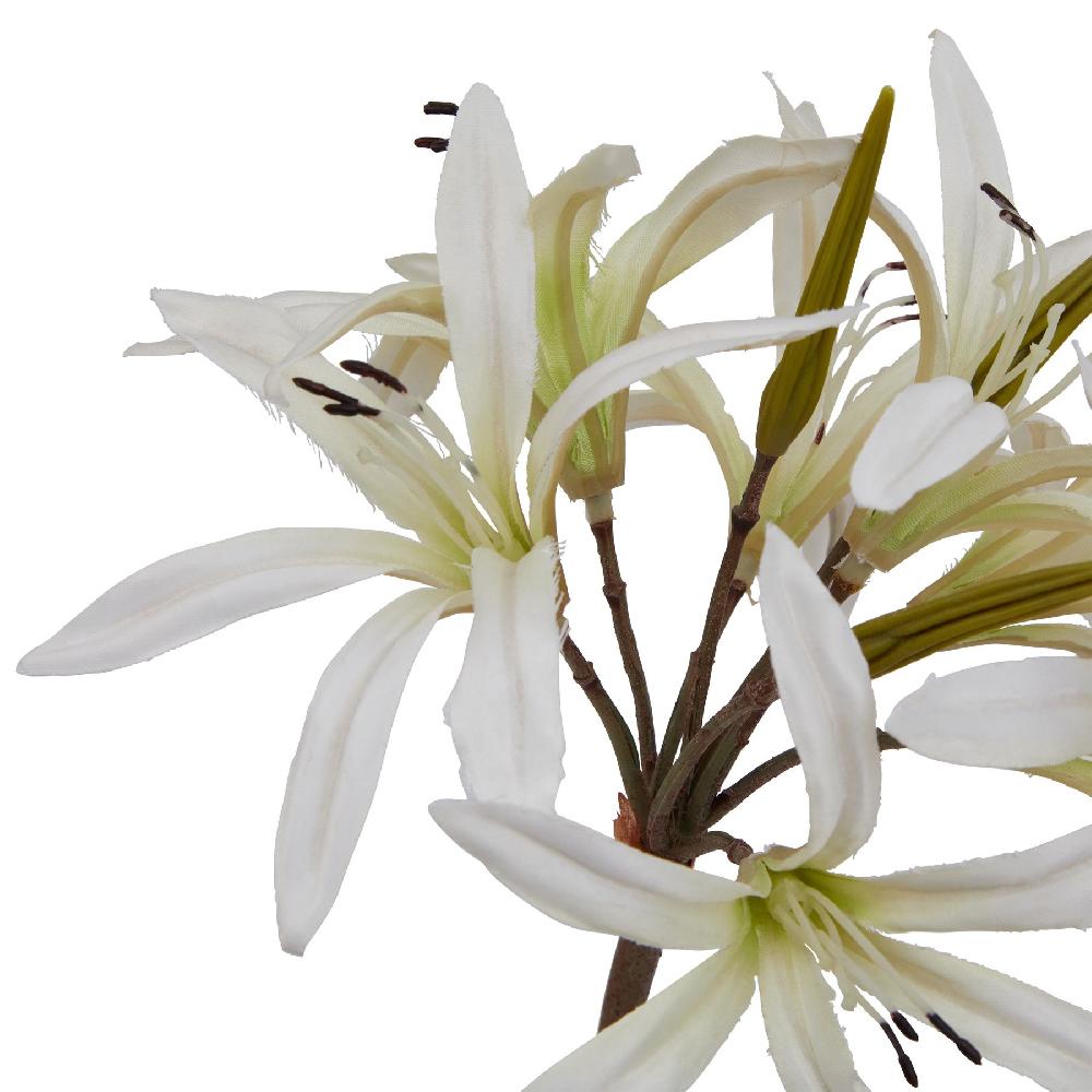 hill interiors The Natural Garden Collection White Nerine Lily Stem