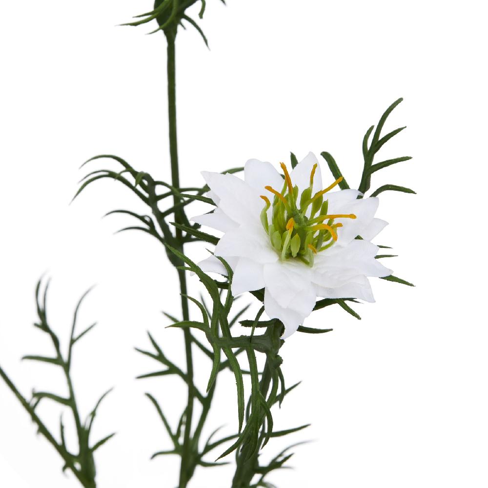 hill interiors The Natural Garden Collection White Nigella Love In A Mist