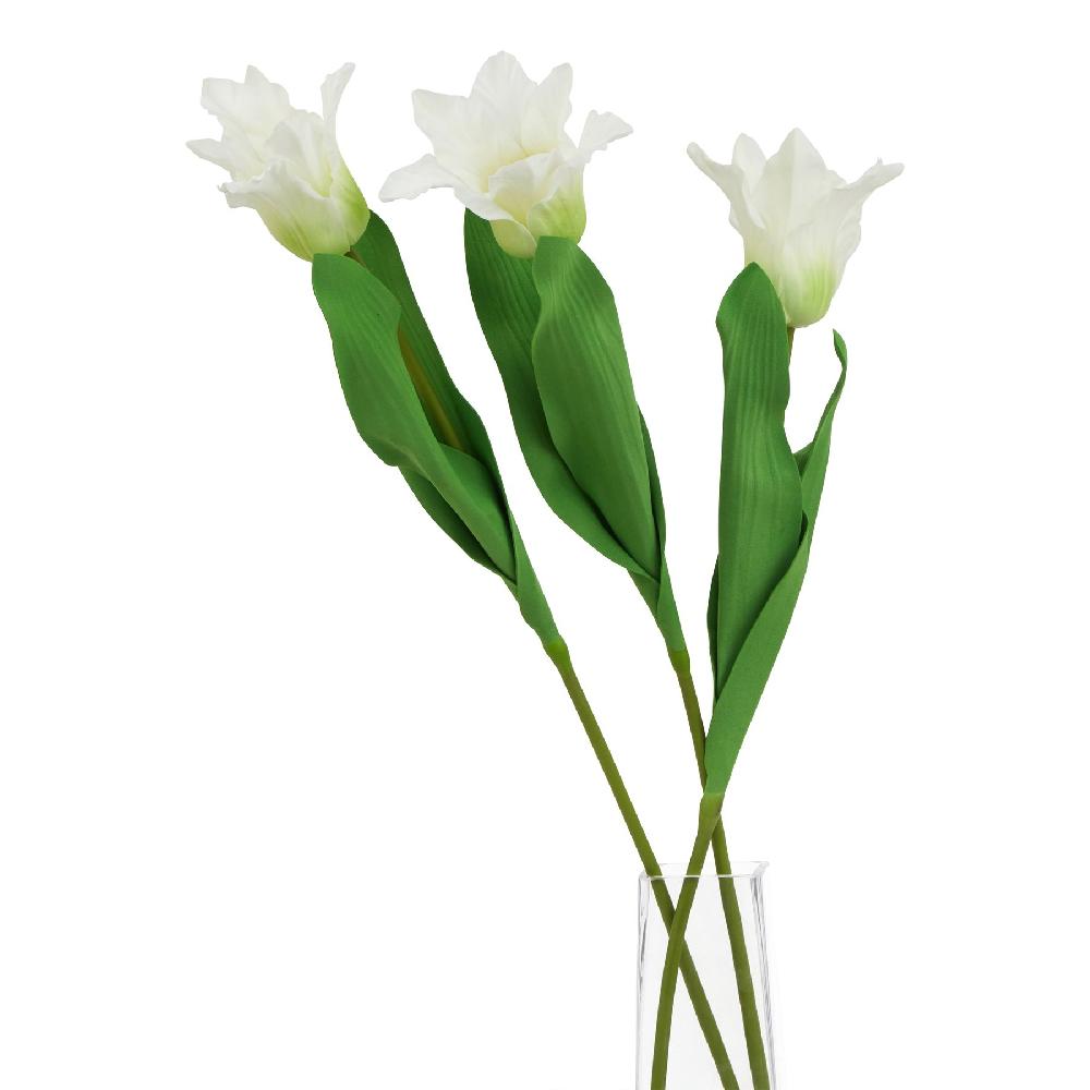 Hill Interiors The Natural Garden Collection White Parrot Tulip