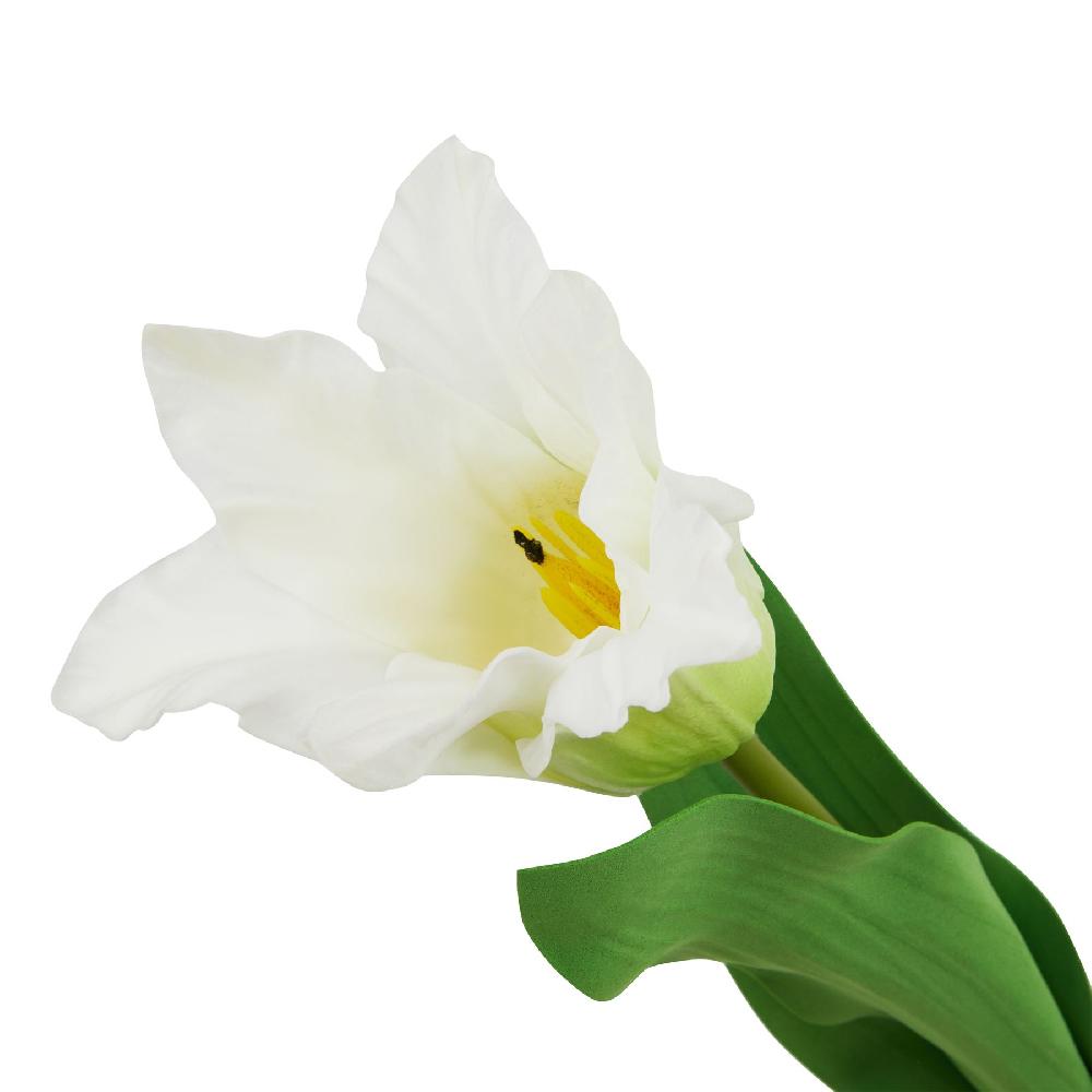 hill interiors The Natural Garden Collection White Parrot Tulip