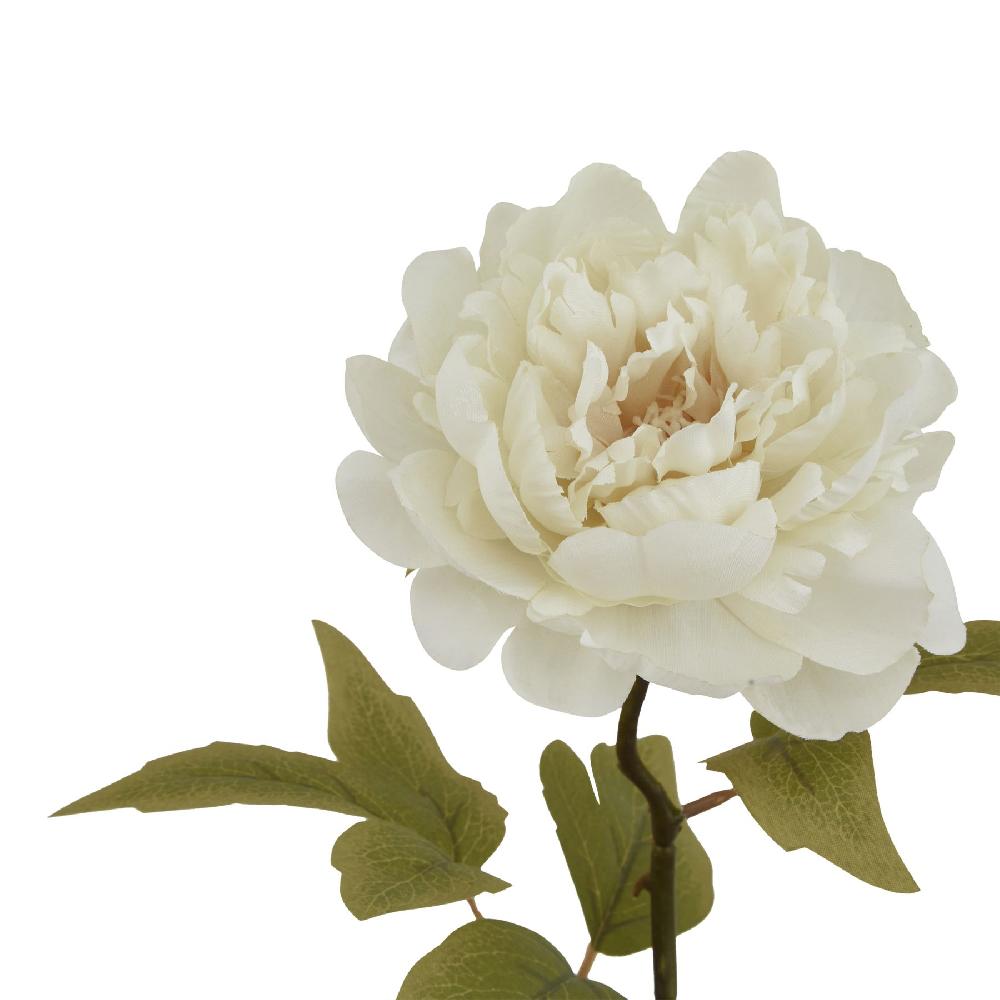hill interiors The Natural Garden Collection White Peony