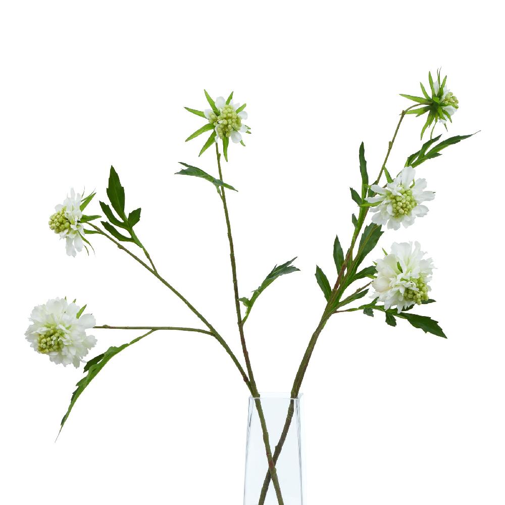 Hill Interiors The Natural Garden Collection White Scabious Stem