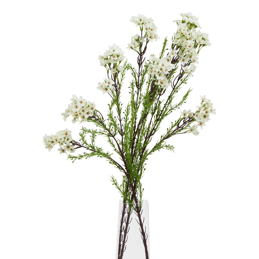 Hill Interiors The Natural Garden Collection White Waxflower