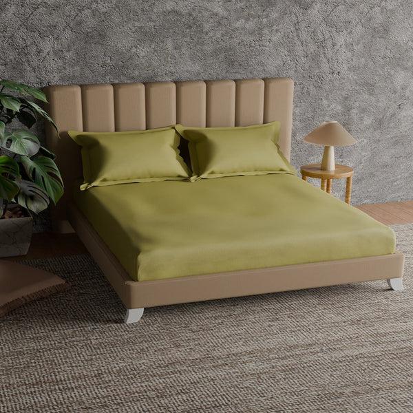 Himêya Himeya 100% Cotton 152 TC Bedsheet With 2 Pillow Covers - Apple Green