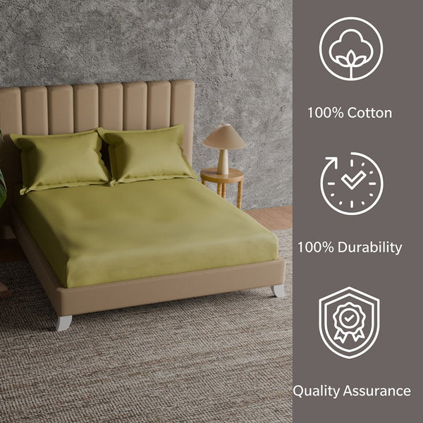 Himêya Himeya 100% Cotton 152 TC Bedsheet With 2 Pillow Covers - Apple Green