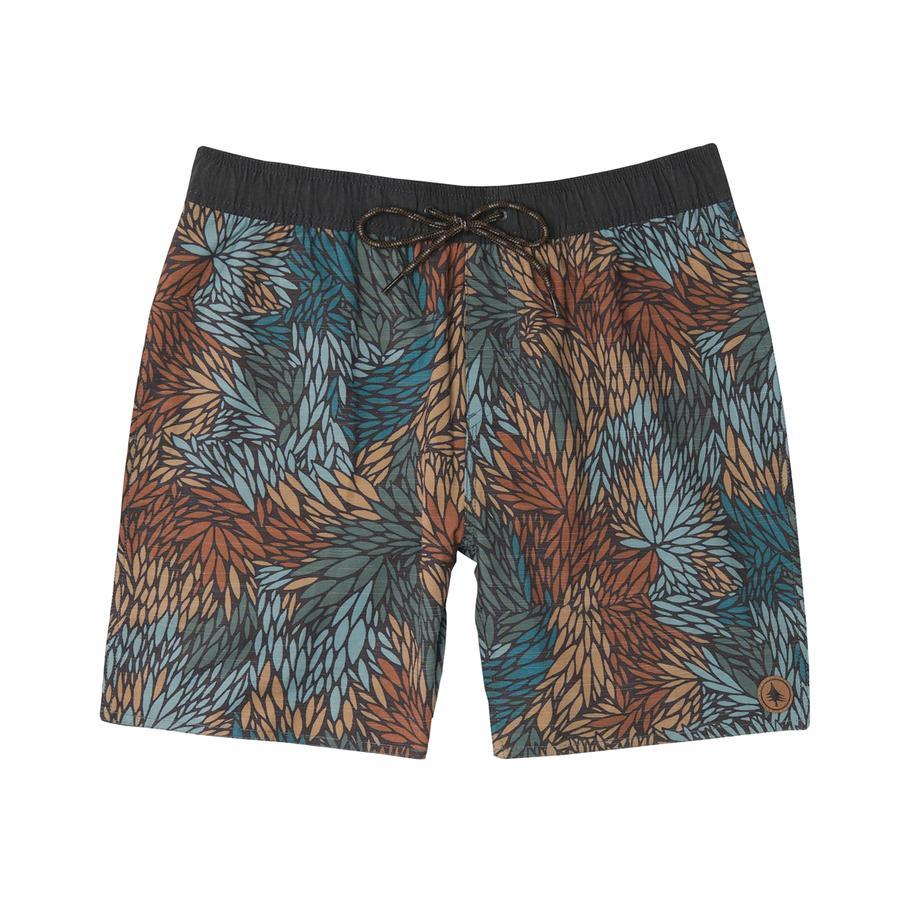 hippytree Chaparral Trunk Asphalt