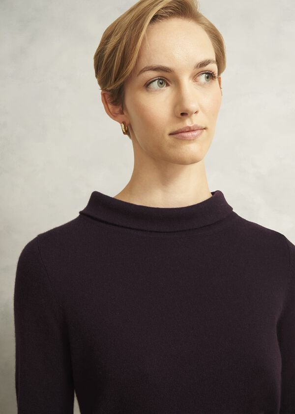 Hobbs Brown Audrey Cashmere Blend Roll Neck Jumper Deep Brown