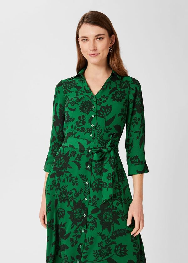 Hobbs Dalia Floral Fit And Flare Dress Apple Artichoke