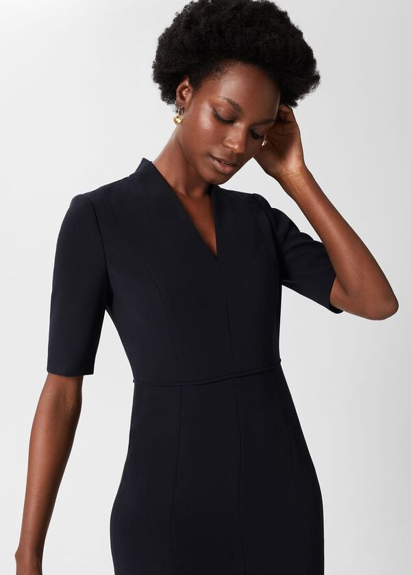 Hobbs Abi Dress Navy