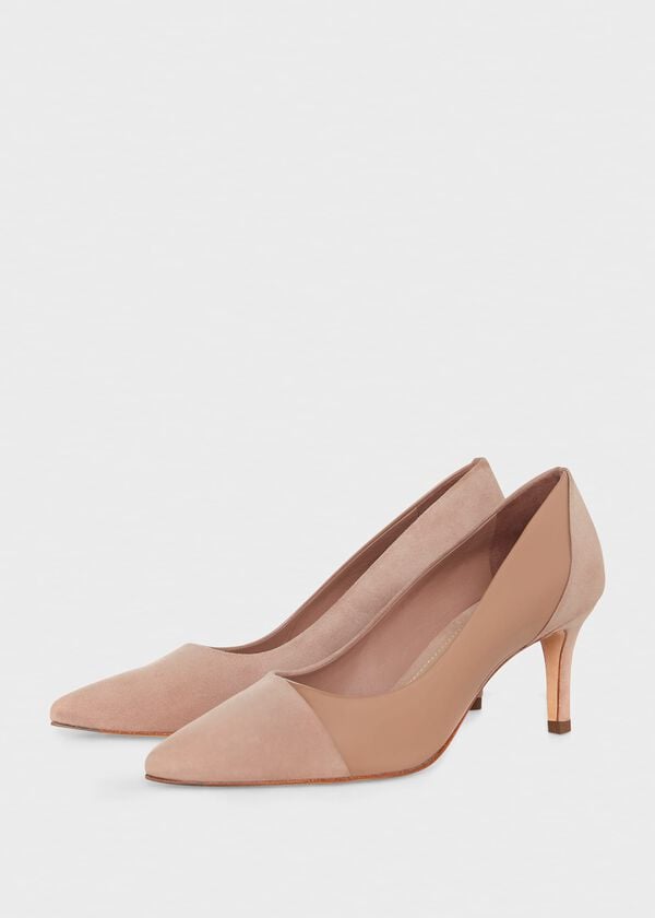 Hobbs Amelia Courts Camel