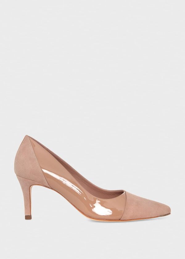 hobbs Amelia Courts Camel
