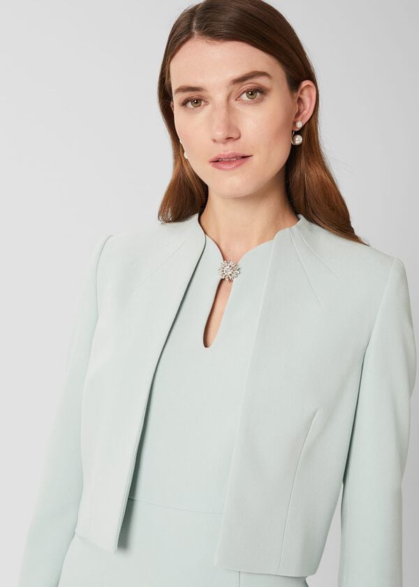 Hobbs Ana Jacket Sage Green