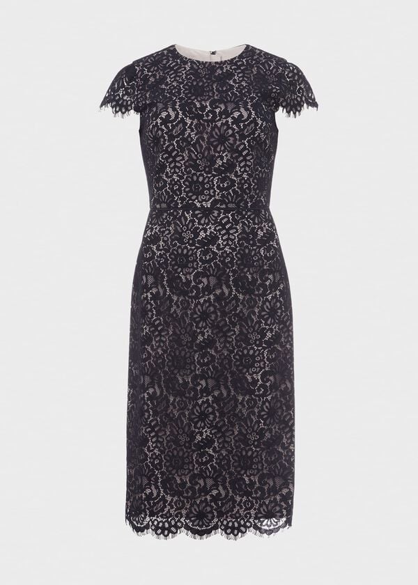 Hobbs Anastasia Lace Shift Dress Navy Oyster