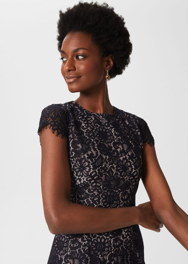 Hobbs Anastasia Lace Shift Dress Navy Oyster