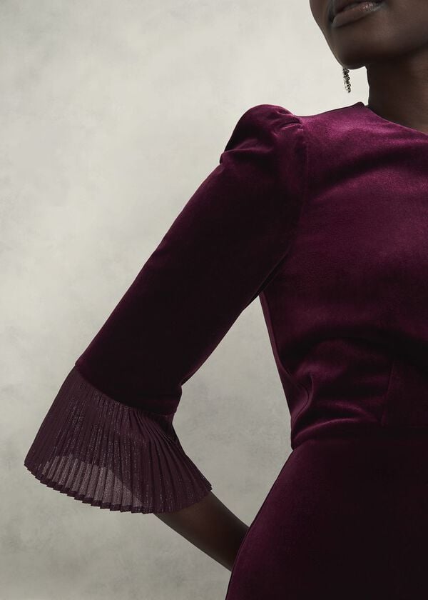 Hobbs Ashley Velvet Dress Warm Plum