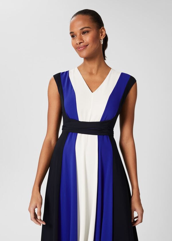 Hobbs Bailly Fit And Flare Dress Navy Cblt Ivory