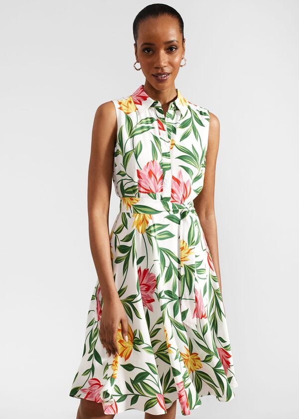 Hobbs Belinda Dress Ivory Multi