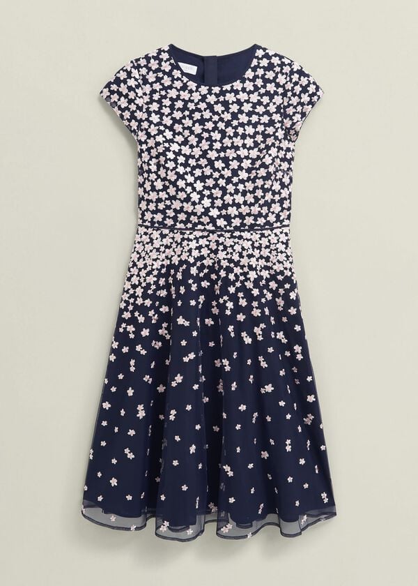 Hobbs Betty Embroidered Dress Midnight Pink