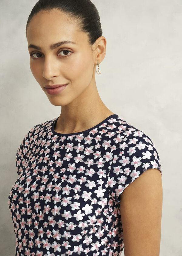 Hobbs Betty Embroidered Dress Midnight Pink