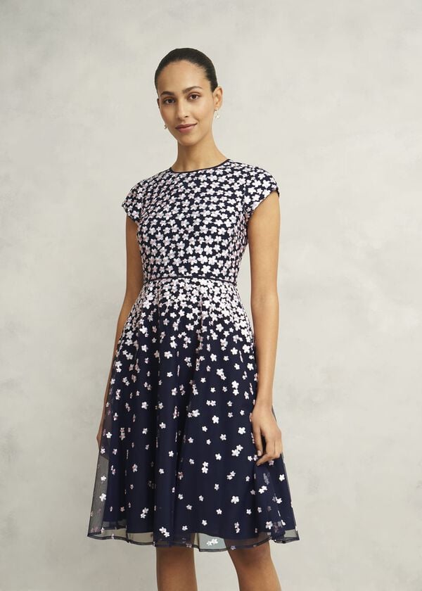 hobbs Betty Embroidered Dress Midnight Pink