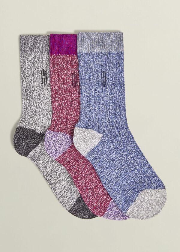 hobbs Boot Sock Set Blue Red Grey