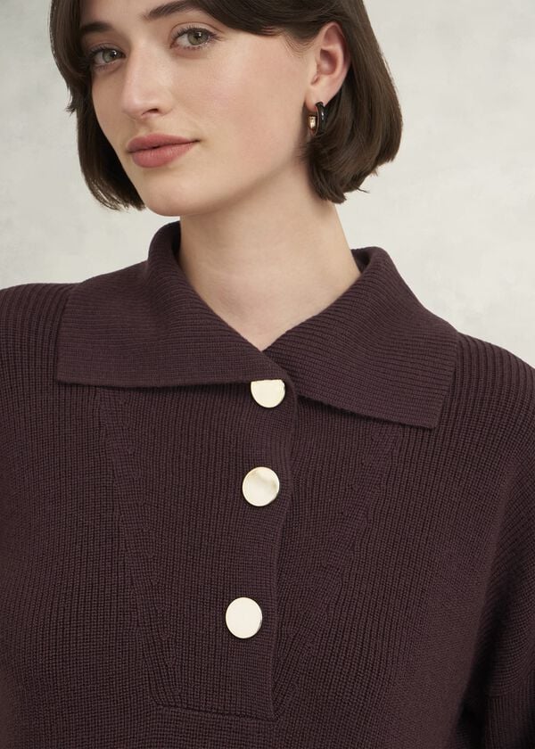 Hobbs Brenna Merino Wool Jumper Malbec