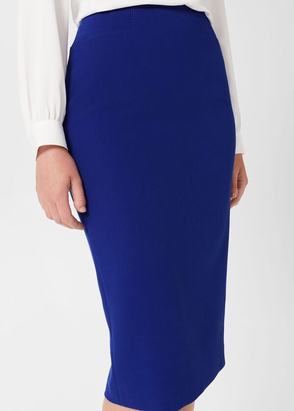 Hobbs Brielle Skirt Cobalt Blue