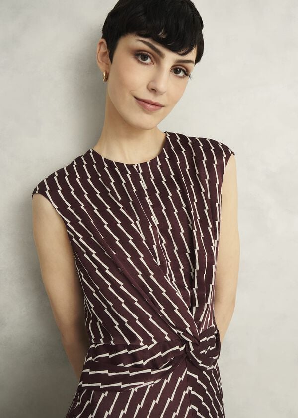 Hobbs Burnby Dress Brown Ivory