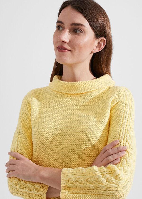 hobbs Camilla Cotton Jumper Lemon Zest
