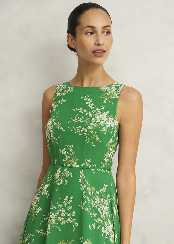 Hobbs Carly Dress Green Ivory