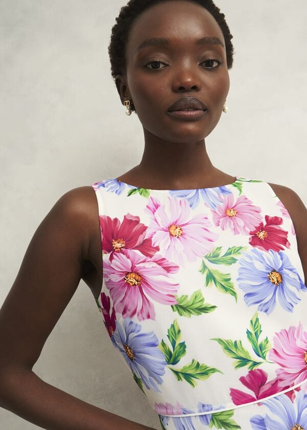 Hobbs Carly Dress Ivory Multi