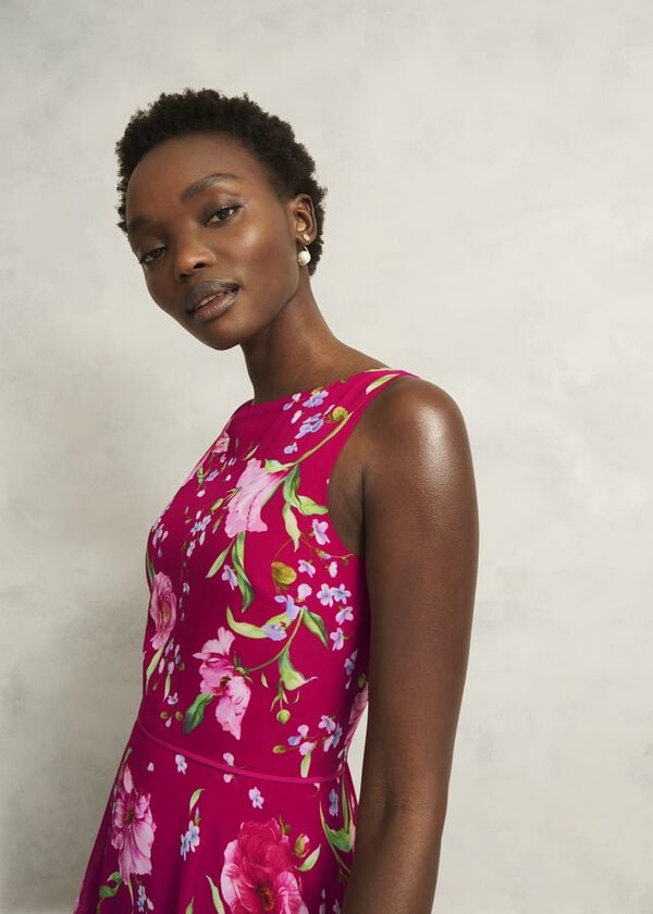 Hobbs Carly Dress Pink Multi