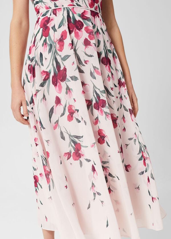 Hobbs Carly Floral Midi Dress Pink Multi