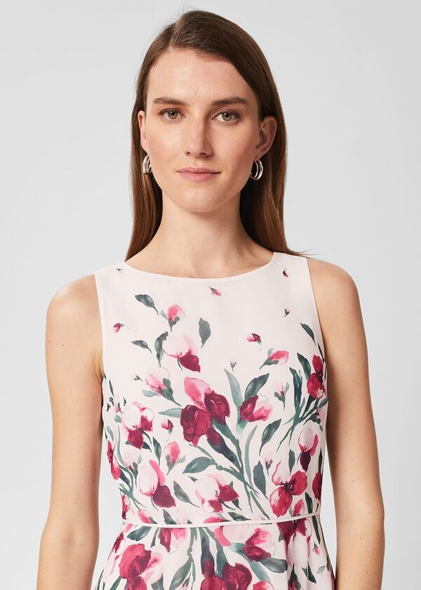 Hobbs Carly Floral Midi Dress Pink Multi