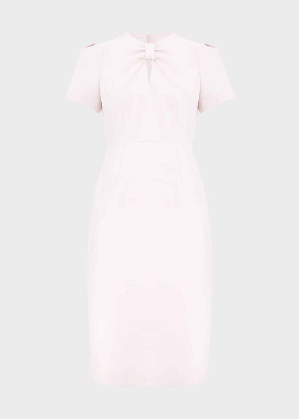 Hobbs Carolina Dress Pale Pink
