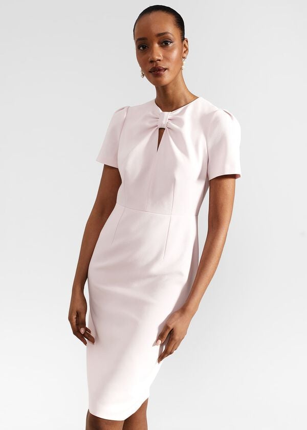 Hobbs Carolina Dress Pale Pink