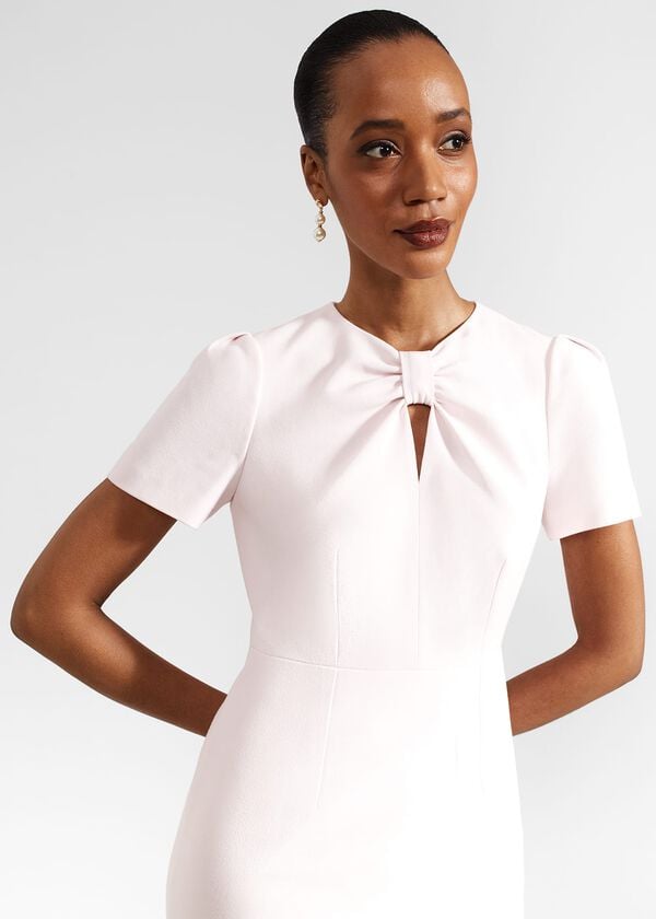 Hobbs Carolina Dress Pale Pink