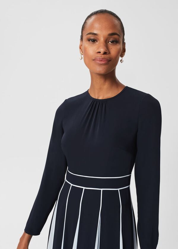 Hobbs Cecilia Fit And Flare Dress Navy Pale Blue