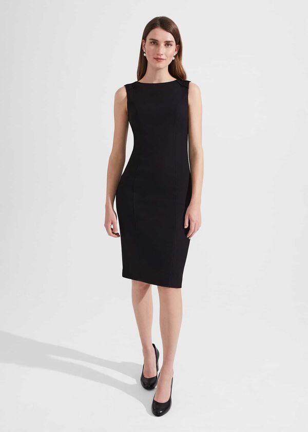 hobbs Charley Dress Black