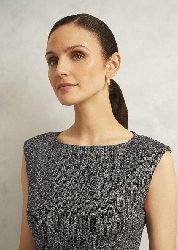 Hobbs Cherie Dress Black Camel