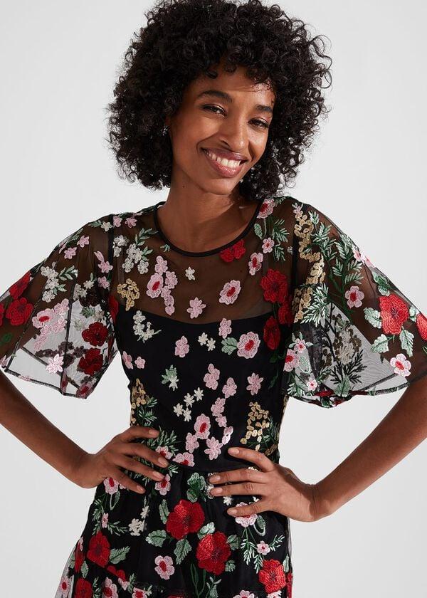 Hobbs Dana Embroidered Dress Black Multi