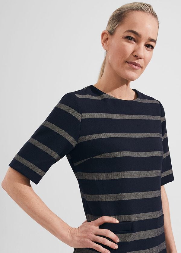 Hobbs Darla Dress Navy Camel