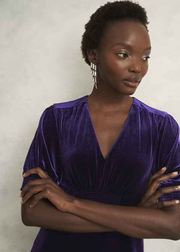 Hobbs Dormer Velvet Dress Midnight Purple